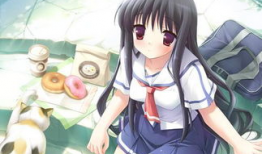 动漫月,探寻动漫世界的浪漫与奇幻